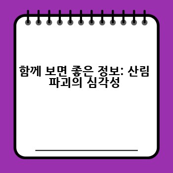 함께 보면 좋은 정보: 산림 파괴의 심각성
