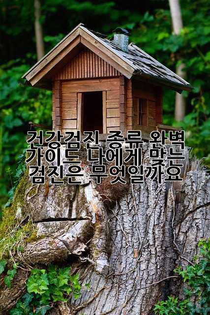 건강검진 종류 완벽 가이드: 나에게 맞는 검진은 무엇일까요?