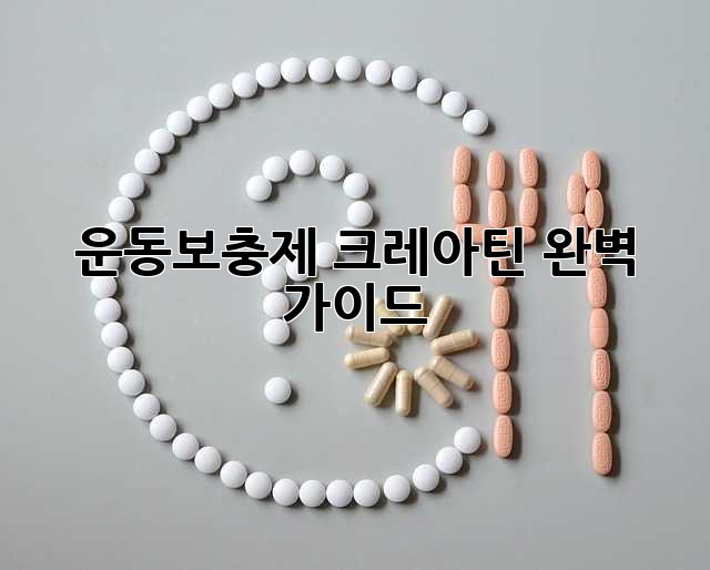 운동보충제 크레아틴 완벽 가이드