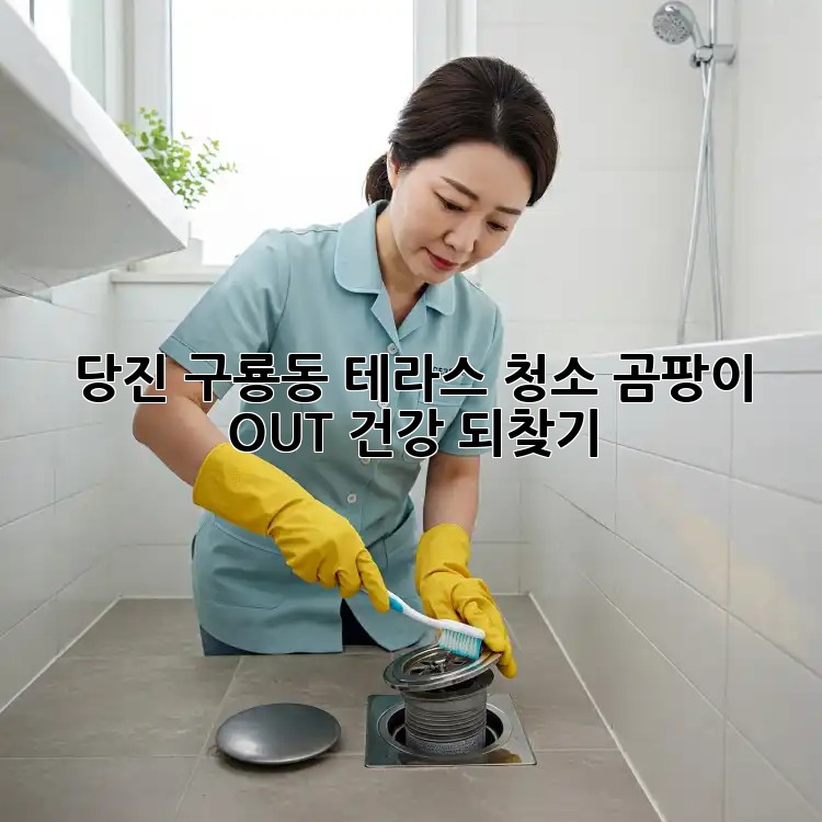 당진 구룡동 테라스 청소✨ 곰팡이 OUT! 건강 되찾기💪