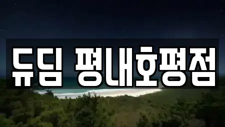 듀딤 평내호평점