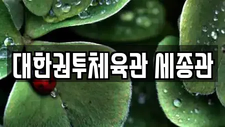 대한권투체육관 세종관