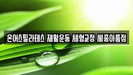 온어스필라테스 재활운동 체형교정 세종아름점