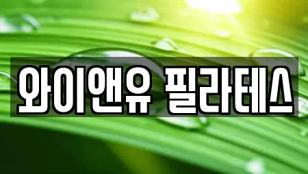 와이앤유 필라테스