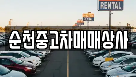 순천중고차매매상사