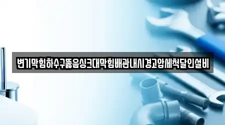 변기막힘하수구뚫음싱크대막힘배관내시경고압세척달인설비