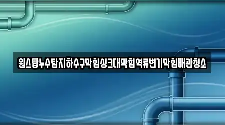 원스탑누수탐지하수구막힘싱크대막힘역류변기막힘배관청소