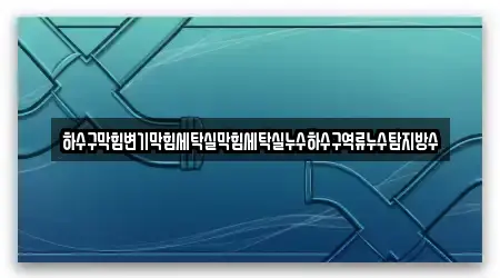하수구막힘변기막힘세탁실막힘세탁실누수하수구역류누수탐지방수