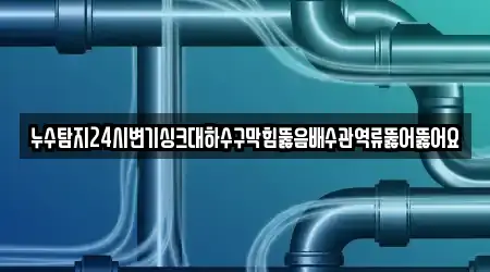 누수탐지24시변기싱크대하수구막힘뚫음배수관역류뚫어뚫어요
