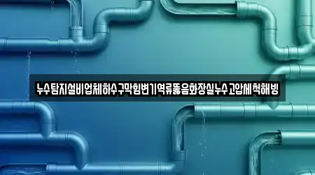 누수탐지설비업체하수구막힘변기역류뚫음화장실누수고압세척해빙