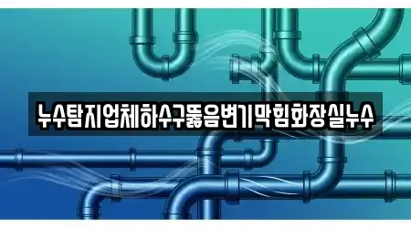 누수탐지업체하수구뚫음변기막힘화장실누수