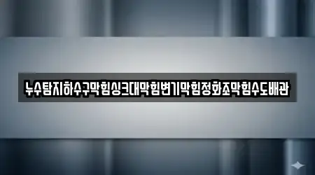 누수탐지하수구막힘싱크대막힘변기막힘정화조막힘수도배관