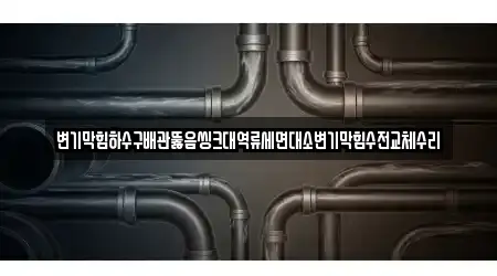 변기막힘하수구배관뚫음씽크대역류세면대소변기막힘수전교체수리