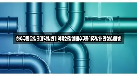하수구뚫음싱크대막힘변기역류화장실배수구뚫기주방배관청소해빙