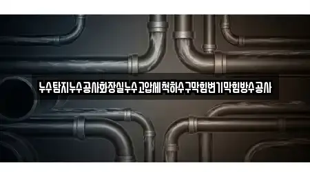 누수탐지누수공사화장실누수고압세척하수구막힘변기막힘방수공사