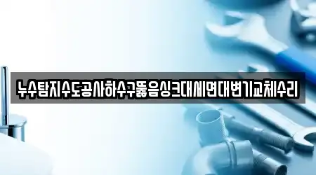5 최신 싱크대뚫음,변기뚫음,하수구뚫음,누수,하수구막힘 경남 창원 마산합포구 동성동 업체
