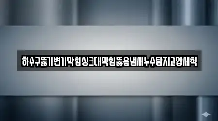 하수구뚫기변기막힘싱크대막힘뚫음냄새누수탐지고압세척
