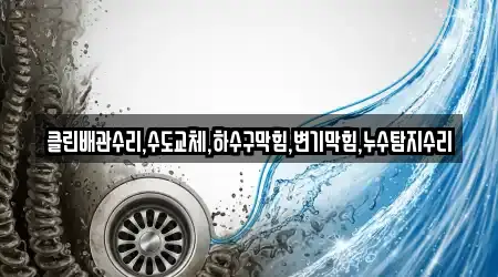 경상북도 영천 채신동 변기막힘 상세 정보 4건