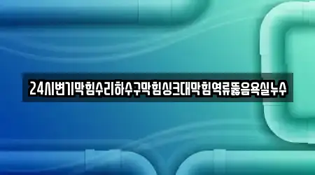 24시변기막힘수리하수구막힘싱크대막힘역류뚫음욕실누수