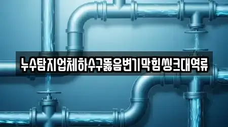 누수탐지업체하수구뚫음변기막힘씽크대역류