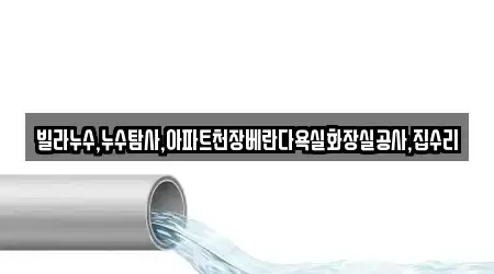빌라누수,누수탐사,아파트천장베란다욕실화장실공사,집수리