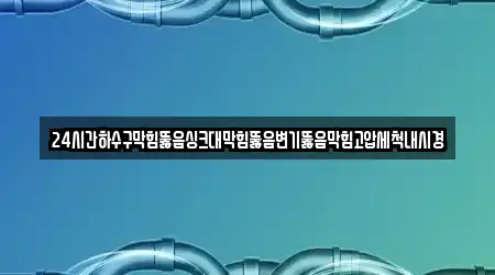 8곳 하수구막힘 광주광역시 본촌동 위치