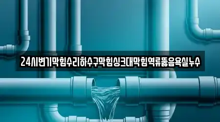 24시변기막힘수리하수구막힘싱크대막힘역류뚫음욕실누수