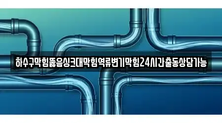 하수구막힘뚫음싱크대막힘역류변기막힘24시간출동상담가능