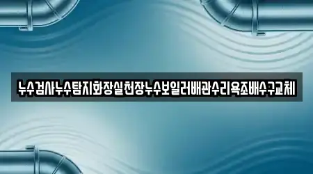누수검사누수탐지화장실천장누수보일러배관수리욕조배수구교체
