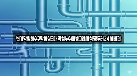 변기막힘하수구막힘싱크대막힘누수해빙고압세척짱뚜러24시배관