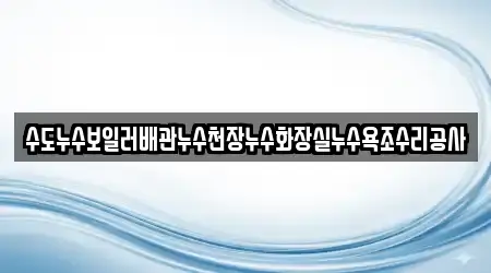 수도누수보일러배관누수천장누수화장실누수욕조수리공사