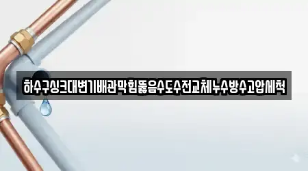 하수구싱크대변기배관막힘뚫음수도수전교체누수방수고압세척