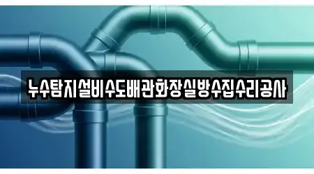 누수탐지설비수도배관화장실방수집수리공사