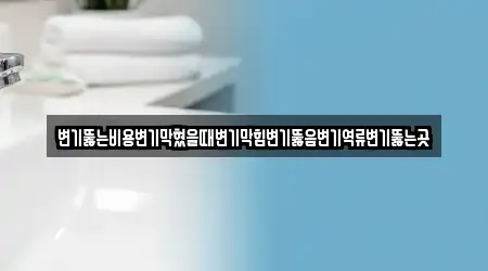 변기뚫는비용변기막혔을때변기막힘변기뚫음변기역류변기뚫는곳