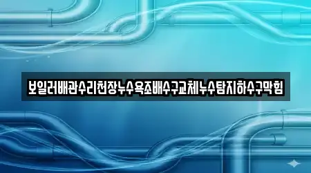 보일러배관수리천장누수욕조배수구교체누수탐지하수구막힘
