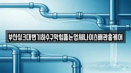 부산싱크대변기하수구막힘뚫는업체나이스배관홈케어