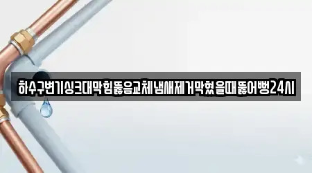 하수구변기싱크대막힘뚫음교체냄새제거막혔을때뚫어뻥24시