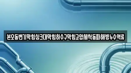 본오동변기막힘싱크대막힘하수구막힘고압세척동파해빙누수역류