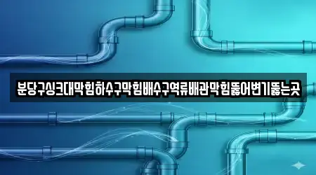 분당구싱크대막힘하수구막힘배수구역류배관막힘뚫어변기뚫는곳