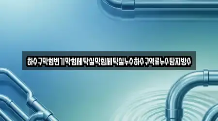 하수구막힘변기막힘세탁실막힘세탁실누수하수구역류누수탐지방수