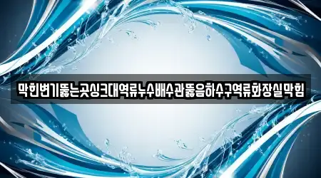 막힌변기뚫는곳싱크대역류누수배수관뚫음하수구역류화장실막힘