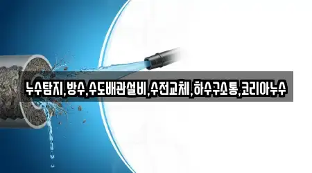 누수탐지,방수,수도배관설비,수전교체,하수구소통,코리아누수