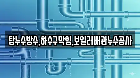 탑누수방수,하수구막힘,보일러배관누수공사