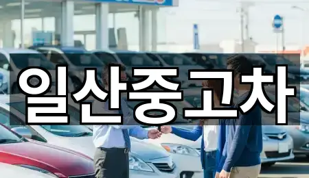 경기 고양시 덕양구 도내동중고차 거리순 5곳