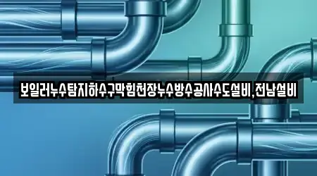 보일러누수탐지하수구막힘천장누수방수공사수도설비,전남설비