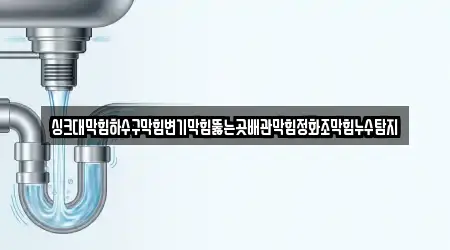 싱크대막힘하수구막힘변기막힘뚫는곳배관막힘정화조막힘누수탐지