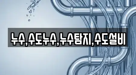 전북 회현면 인근 누수탐지,싱크대뚫음,하수구막힘,변기뚫음,싱크대막힘 추천 10