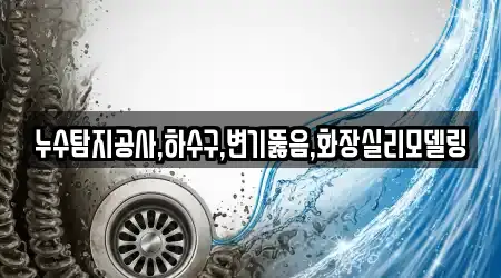누수탐지공사,하수구,변기뚫음,화장실리모델링