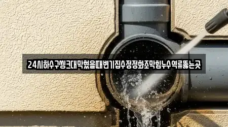 24시하수구씽크대막혔을때변기집수정정화조막힘누수역류뚫는곳