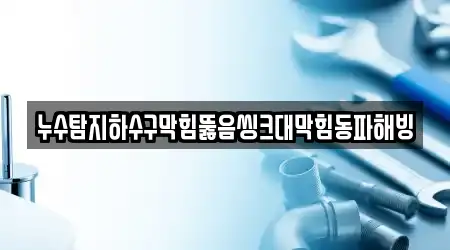 누수탐지하수구막힘뚫음씽크대막힘동파해빙